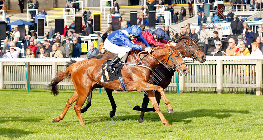 Canterbury-Bell-0005 
 CANTERBURY BELL (farside, Tom Marquand) beats SILVER KITTEN (nearside) in The Discover Newmarket Fillies Restricted Novice Stakes Div1
Newmarket 20 Oct 2021 - Pic Steven Cargill / Racingfotos.com