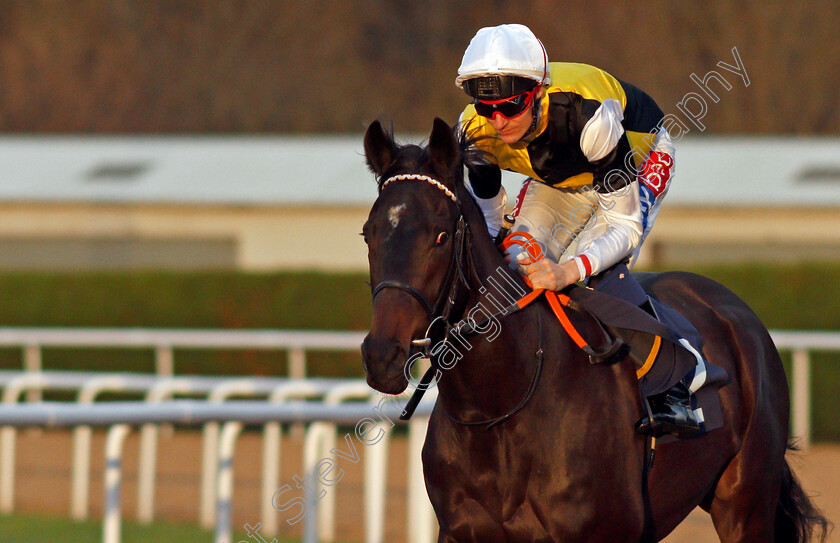 Arnoul-Of-Metz-0001 
 ARNOUL OF METZ (Fran Berry) Wolverhampton 4 Jan 2018 - Pic Steven Cargill / Racingfotos.com