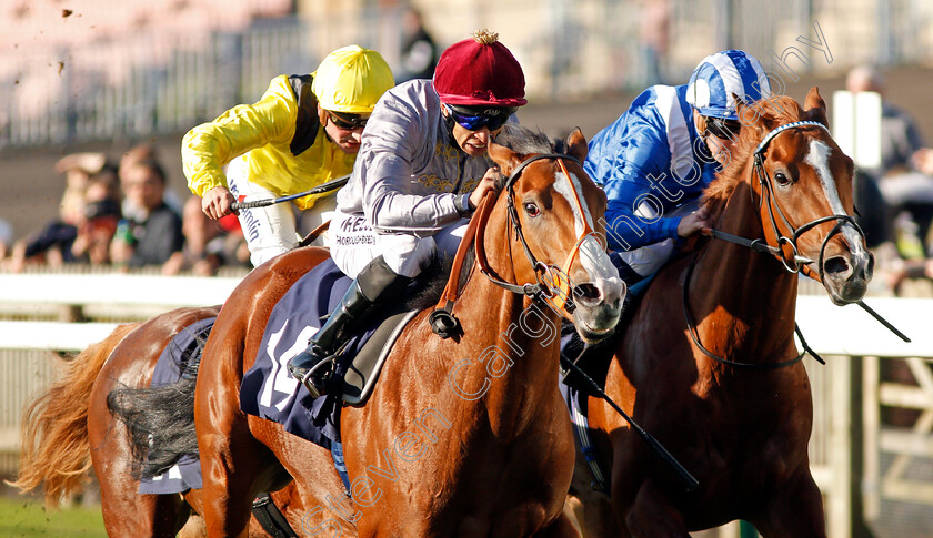 Qaysar-and-Elwazir-0002 
 QAYSAR (left, Sean Levey) with ELWAZIR (right, Jim Crowley) Newmarket 25 Oct 2017 - Pic Steven Cargill / Racingfotos.com