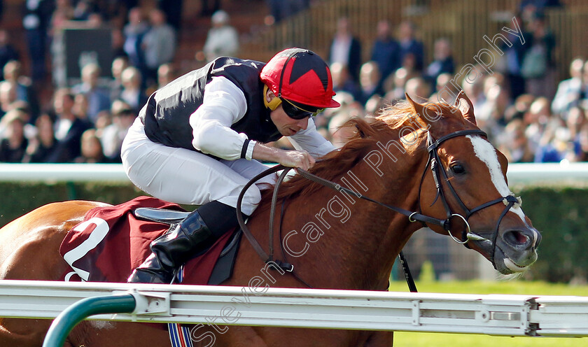 Kyprios-0002 
 KYPRIOS (Ryan Moore) wins The Qatar Prix de Cadran
Longchamp 5 Oct 2024 - Pic Steven Cargill / Racingfotos.com