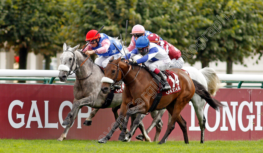 Hoggar-De-L Ardus-0001 
 HOGGAR DE L'ARDUS (left, Michael Barzalona) beats LADY PRINCESS (right) in The Qatar Arabian World Cup
Longchamp 3 Oct 2021 - Pic Steven Cargill / Racingfotos.com