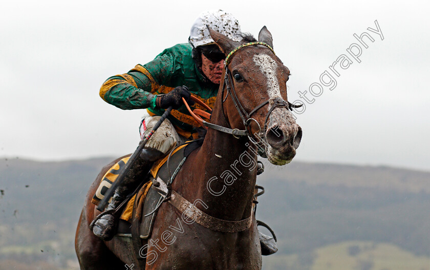 Apple s-Shakira-0007 
 APPLE'S SHAKIRA (Barry Geraghty) wins The JCB Triumph Trial Juvenile Hurdle Cheltenham 27 Jan 2018 - Pic Steven Cargill / Racingfotos.com