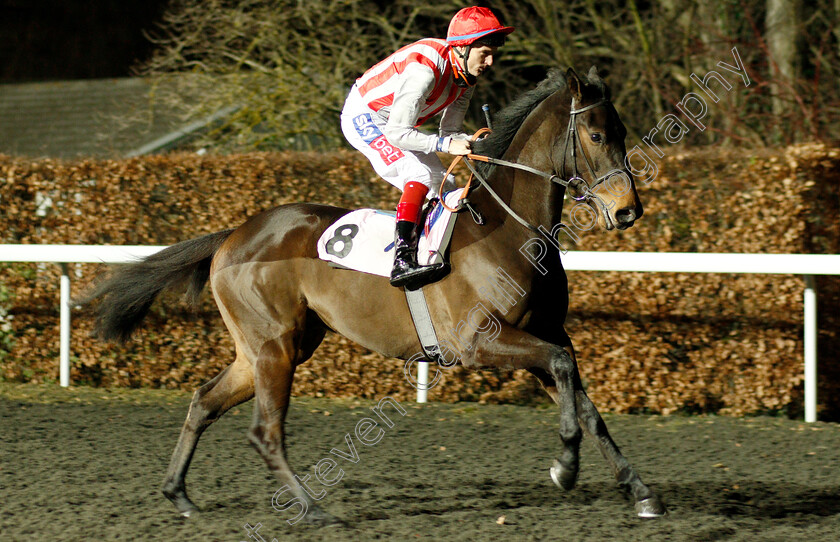 Maiden-Castle-0001 
 MAIDEN CASTLE (Fran Berry)
Kempton 12 Dec 2018 - Pic Steven Cargill / Racingfotos.com