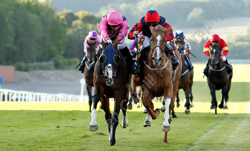 So-Near-So-Farhh-0004 
 SO NEAR SO FARHH (right, Franny Norton) beats JACOB CATS (left) in The comparebettingsites.com Handicap
Chepstow 2 Jul 2019 - Pic Steven Cargill / Racingfotos.com