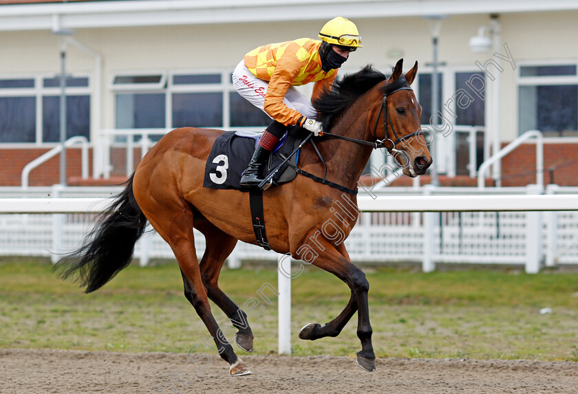 Cheshire-Plain-0003 
 CHESHIRE PLAIN (David Egan)
Chelmsford 4 Mar 2021 - Pic Steven Cargill / Racingfotos.com