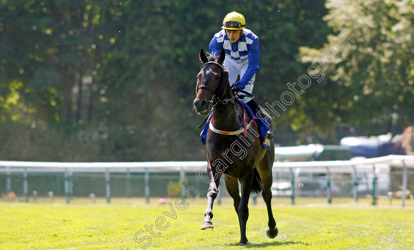 Matilda-Picotte-0001 
 MATILDA PICOTTE (R Whelan)
Haydock 27 May 2023 - Pic Steven Cargill / Racingfotos.com