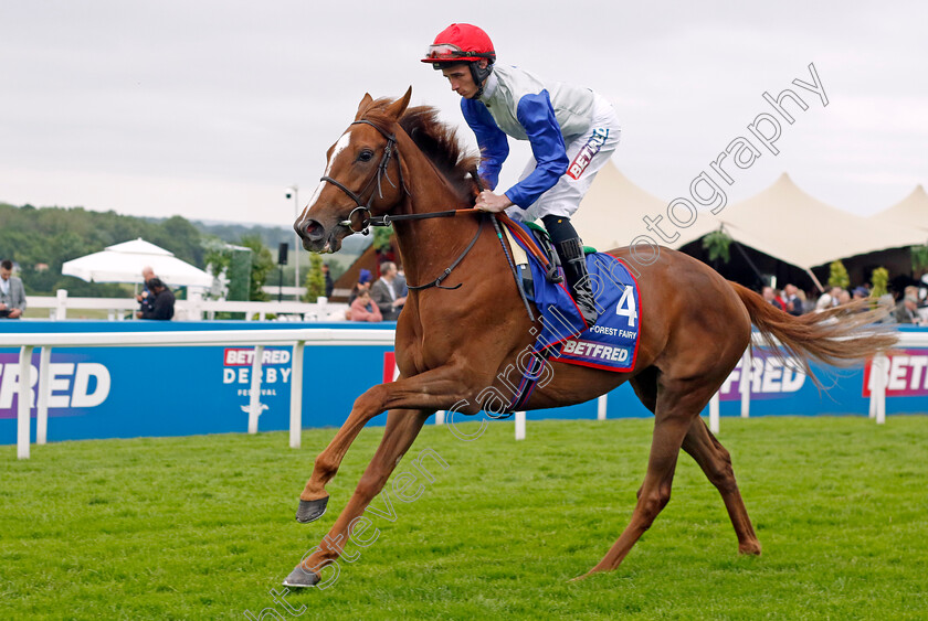 Forest-Fairy-0002 
 FOREST FAIRY (Rossa Ryan)
Epsom 31 May 2024 - Pic Steven Cargill / Racingfotos.com