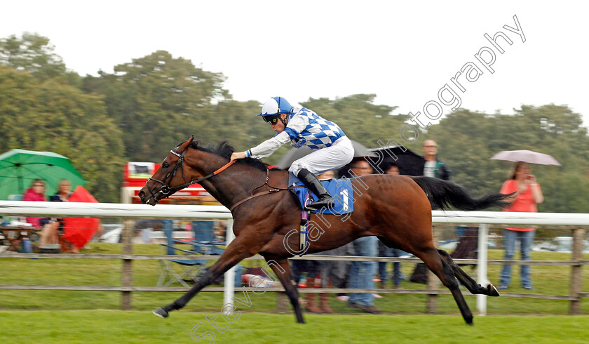 Clairette-0005 
 CLAIRETTE (Kieran Shoemark) wins The British EBF Quidhampton Maiden Fillies Stakes Div2 Salisbury 7 Sep 2017 - Pic Steven Cargill / Racingfotos.com