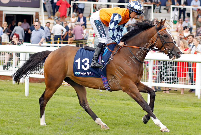 Jukebox-Jive-0001 
 JUKEBOX JIVE (Nicola Currie)
Newbury 20 Jul 2019 - Pic Steven Cargill / Racingfotos.com