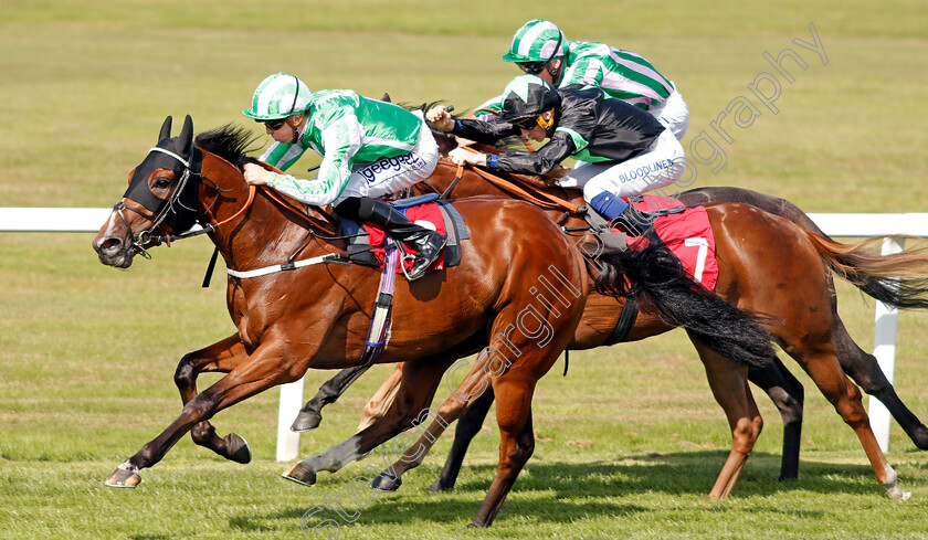 Port-Winston-0008 
 PORT WINSTON (David Probert) wins The Betway Nursery
Sandown 30 Aug 2019 - Pic Steven Cargill / Racingfotos.com