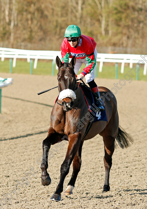 Prompting-0001 
 PROMPTING (Ben Curtis)
Lingfield 8 Feb 2020 - Pic Steven Cargill / Racingfotos.com