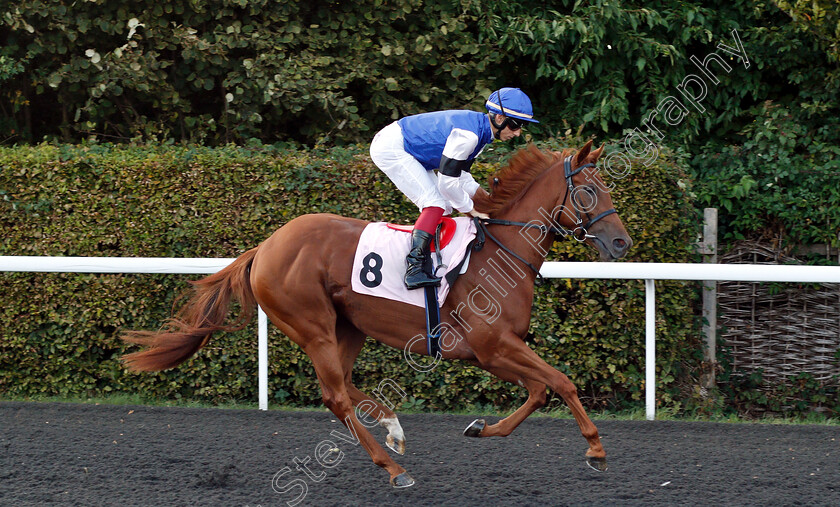 Mulhima-0001 
 MULHIMA (Antonio Fresu)
Kempton 18 Sep 2018 - Pic Steven Cargill / Racingfotos.com