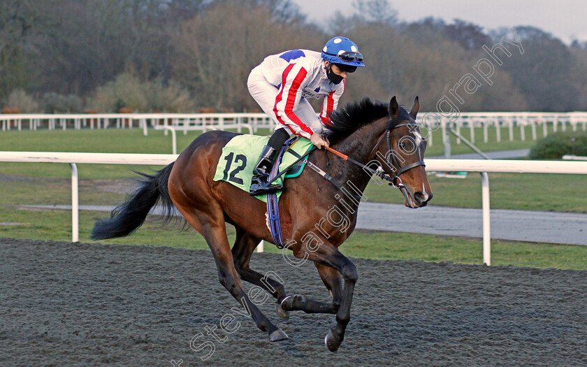 Norwegian-Red-0001 
 NORWEGIAN RED (Martin Harley)
Kempton 16 Feb 2021 - Pic Steven Cargill / Racingfotos.com