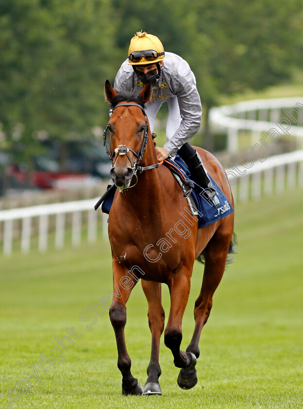 Lusail-0001 
 LUSAIL (Pat Dobbs) winner of The Tattersalls July Stakes
Newmarket 8 Jul 2021 - Pic Steven Cargill / Racingfotos.com