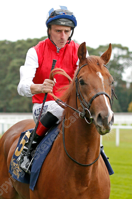 Establish-0001 
 ESTABLISH (Adam Kirby)
Ascot 6 Sep 2019 - Pic Steven Cargill / Racingfotos.com