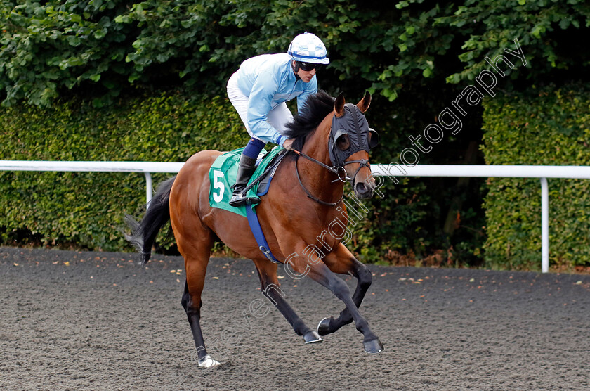 Crafty-Spirit-0001 
 CRAFTY SPIRIT (Jim Crowley)
Kempton 16 Jul 2024 - Pic Steven Cargill / Racingfotos.com