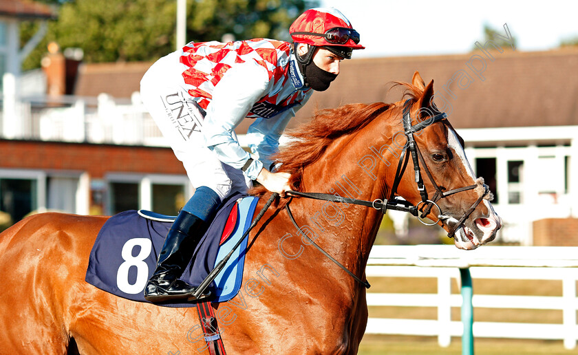 Red-Celebre-0001 
 RED CELEBRE (Callum Shepherd)
Lingfield 4 Aug 2020 - Pic Steven Cargill / Racingfotos.com