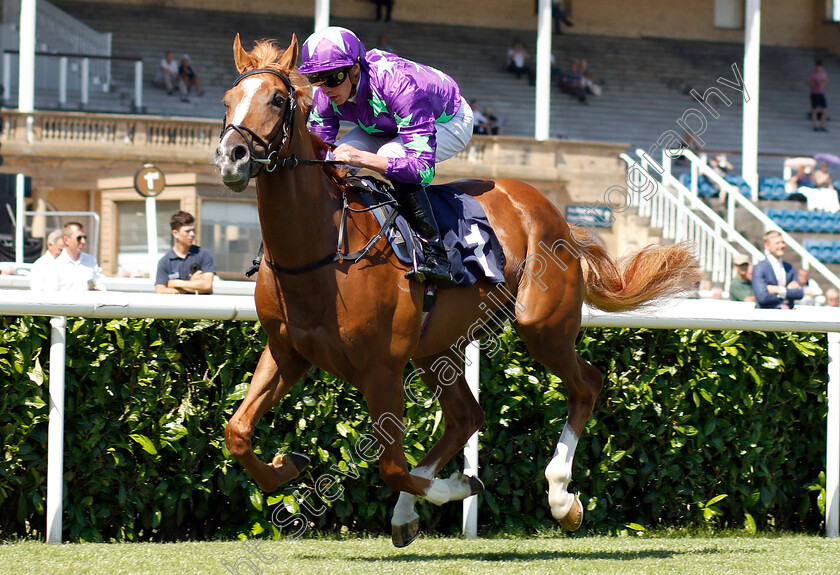 Blonde-Warrior-0003 
 BLONDE WARRIOR (James Doyle) wins The Edmond Shipway Novice Stakes
Doncaster 29 Jun 2018 - Pic Steven Cargill / Racingfotos.com