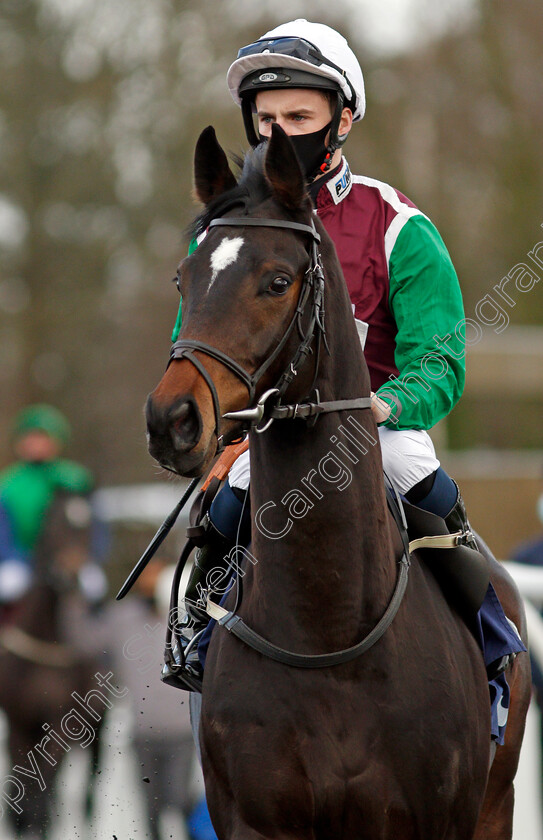 Way-Of-Life-0001 
 WAY OF LIFE (Adam McNamara)
Lingfield 19 Dec 2020 - Pic Steven Cargill / Racingfotos.com