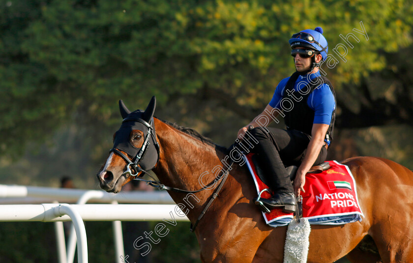 Nations-Pride-0004 
 NATIONS PRIDE training for the Bahrain International Trophy
Kingdom of Bahrain 13 Nov 2024 - Pic Steven Cargill / Racingfotos.com