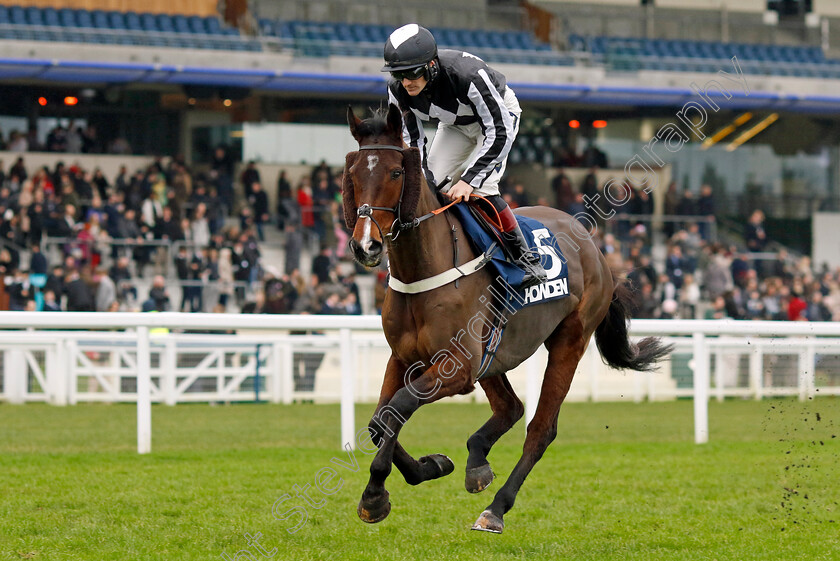 Scarface-0001 
 SCARFACE (Sam Twiston-Davies)
Ascot 21 Dec 2024 - Pic Steven Cargill / Racingfotos.com