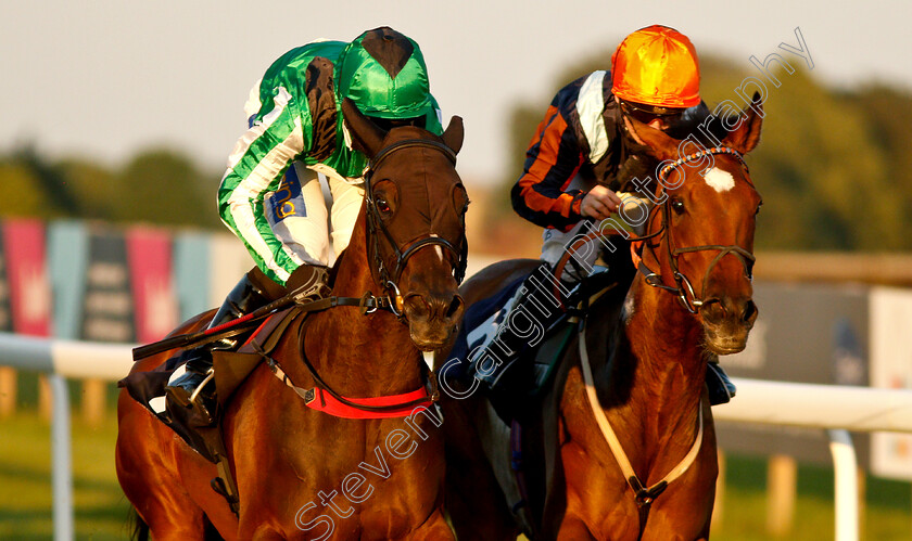 Sadlers-Beach-0003 
 SADLERS BEACH (left, Hayley Turner) beats PERFECT GRACE (right) in The P & N Property Solutions Fillies Handicap
Bath 3 Jul 2019 - Pic Steven Cargill / Racingfotos.com