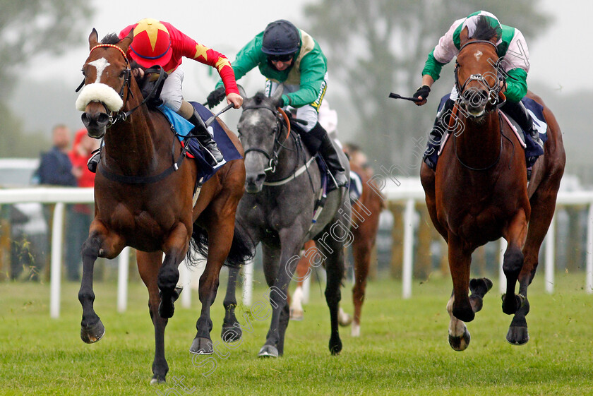 Rectory-Road-0002 
 RECTORY ROAD (Kieran O'Neill) beats LOWNDES SQUARE (right) in The Sky Sports Racing Sky 415 Handicap
Yarmouth 1 Jul 2021 - Pic Steven Cargill / Racingfotos.com