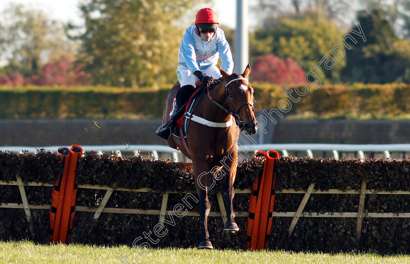 Verdana-Blue-0004 
 VERDANA BLUE (Nico De Boinville) wins The Matchbook VIP Hurdle
Kempton 21 Oct 2018 - Pic Steven Cargill / Racingfotos.com