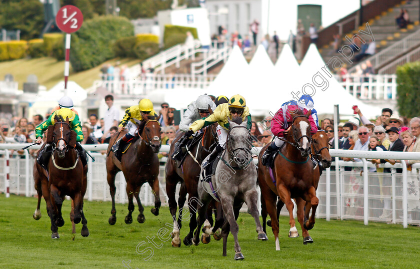 Lord-Riddiford-0001 
 LORD RIDDIFORD (Hollie Doyle) wins The Back To Goodwood Handicap
Goodwood 27 Jul 2021 - Pic Steven Cargill / Racingfotos.com