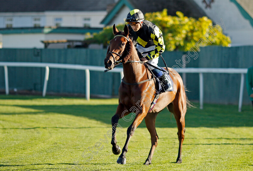 Our-Florentine-0001 
 OUR FLORENTINE (Benoit de la Sayette)
Yarmouth 18 Oct 2022 - Pic Steven Cargill / Racingfotos.com