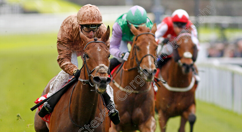 Nymphadora-0003 
 NYMPHADORA (Oisin Murphy) wins The CAA Stellar Handicap
Chester 11 May 2023 - Pic Steven Cargill / Racingfotos.com