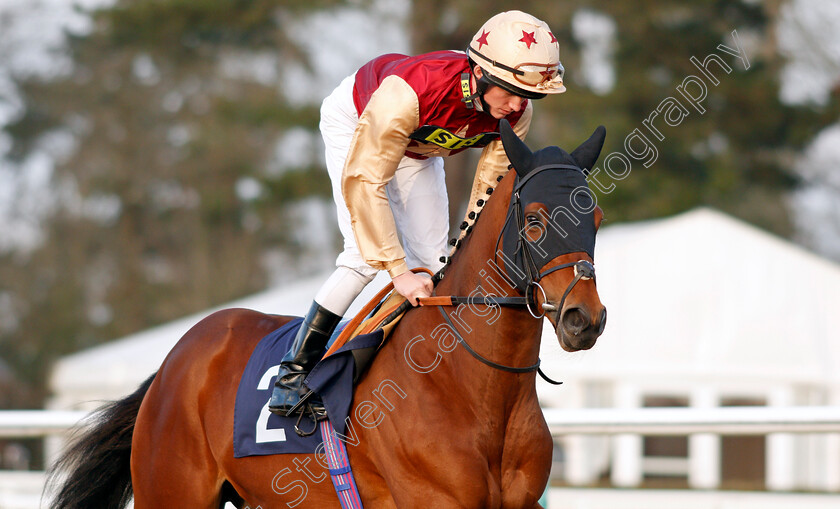 Perfect-Illusion-0002 
 PERFECT ILLUSION (Rob Hornby) winner of The 32Red Casino Novice Stakes Lingfield 23 Feb 2018 - Pic Steven Cargill / Racingfotos.com