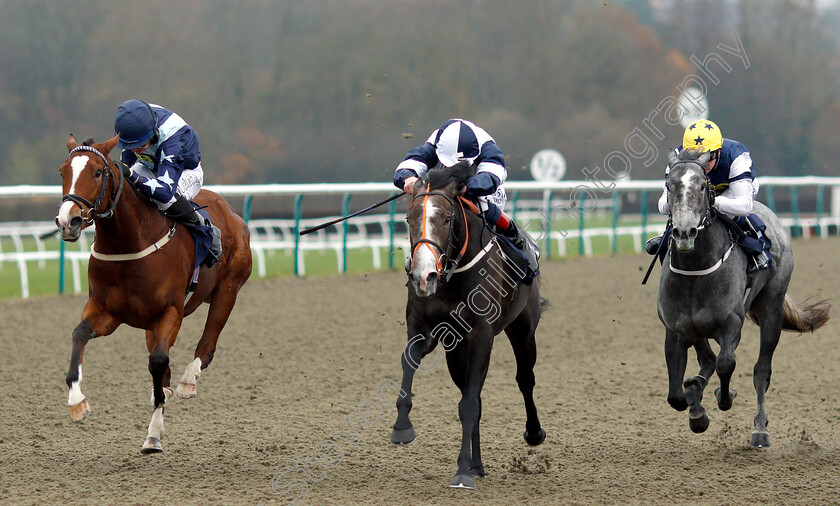 Reticent-Angel-0003 
 RETICENT ANGEL (Adam Kirby) beats SHINING (left) and GINVINCIBLE (right) in The Ladbrokes Home Of The Odds Boost Nursery
Lingfield 20 Nov 2018 - Pic Steven Cargill / Racingfotos.com