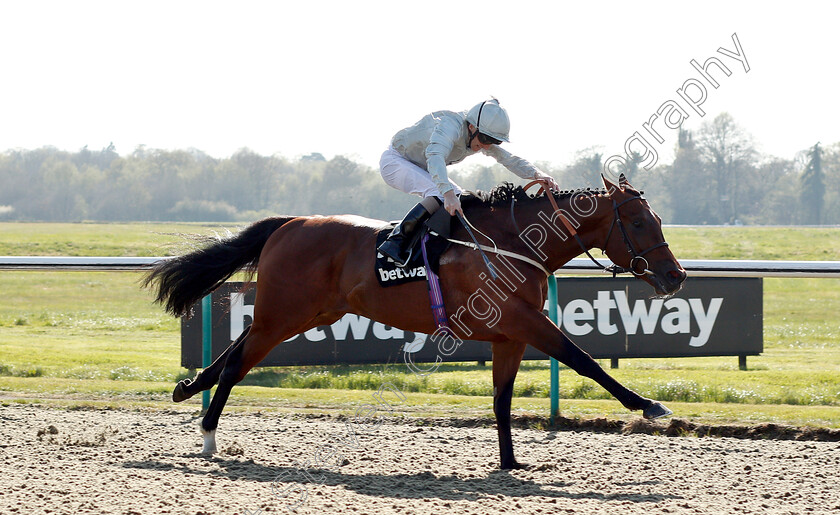 Matterhorn-0007 
 MATTERHORN (Joe Fanning) beats Betway Easter Classic All-Weather Middle Distance Championships Stakes
Lingfield 19 Apr 2019 - Pic Steven Cargill / Racingfotos.com