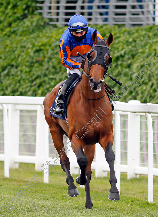 Matchless-0001 
 MATCHLESS (Seamie Heffernan)
Ascot 17 Jun 2021 - Pic Steven Cargill / Racingfotos.com