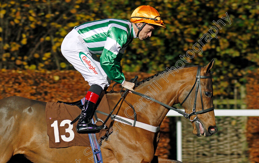 Wild-Animal-0002 
 WILD ANIMAL (Shane Kelly)
Kempton 27 Nov 2019 - Pic Steven Cargill / Racingfotos.com