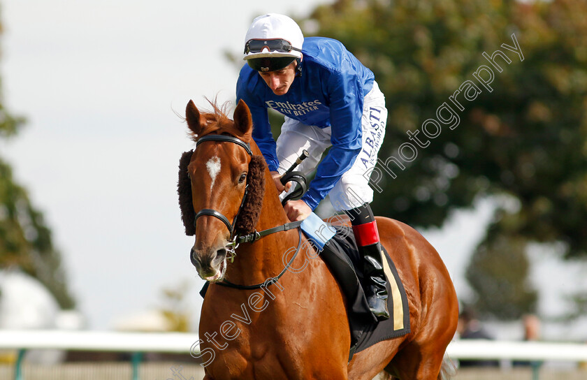 One-Nation-0001 
 ONE NATION (Adam Kirby)
Newmarket 22 Sep 2022 - Pic Steven Cargill / Racingfotos.com