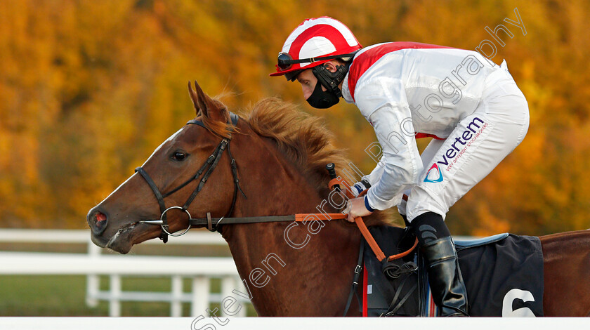 Illustrator-0002 
 ILLUSTRATOR (P J McDonald)
Chelmsford 22 Oct 2020 - Pic Steven Cargill / Racingfotos.com