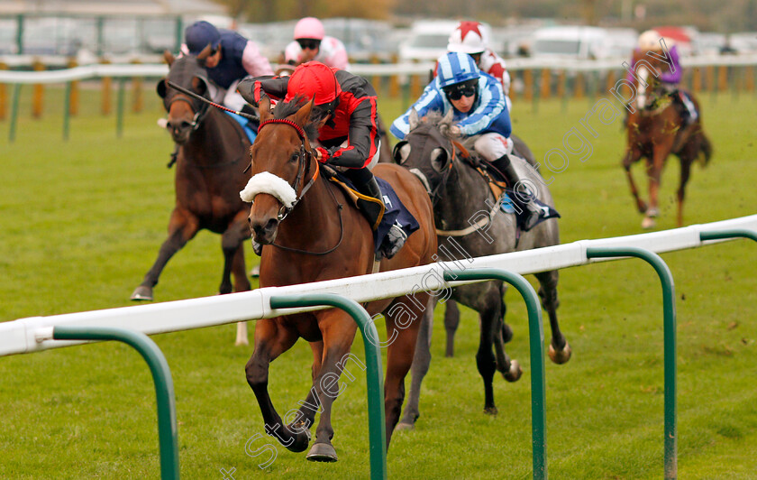 Broughtons-Story-0003 
 BROUGHTONS STORY (Jack Osborn) wins The Haven Seashire Holiday Park Handicap Yarmouth 16 Oct 2017 - Pic Steven Cargill / Racingfotos.com