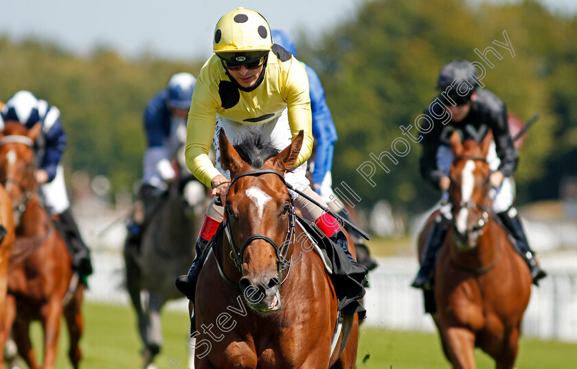 Mambo-Nights-0006 
 MAMBO NIGHTS (Andrea Atzeni) wins The Unibet 3 Boosts A Day Handicap
Goodwood 29 Jul 2020 - Pic Steven Cargill / Racingfotos.com