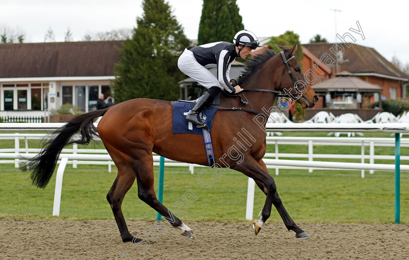 Twirling-0001 
 TWIRLING (Harry Burns)
Lingfield 23 Dec 2023 - Pic Steven Cargill / Racingfotos.com