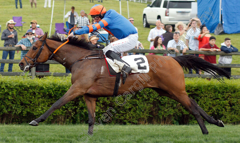 Markhan-0004 
 MARKHAN (Davy Russell) wins The George Sloan & John Sloan Sr Maiden Hurdle
Percy Warner Park, Nashville Tennessee USA, 11 May 2019 - Pic Steven Cargill / Racingfotos.com