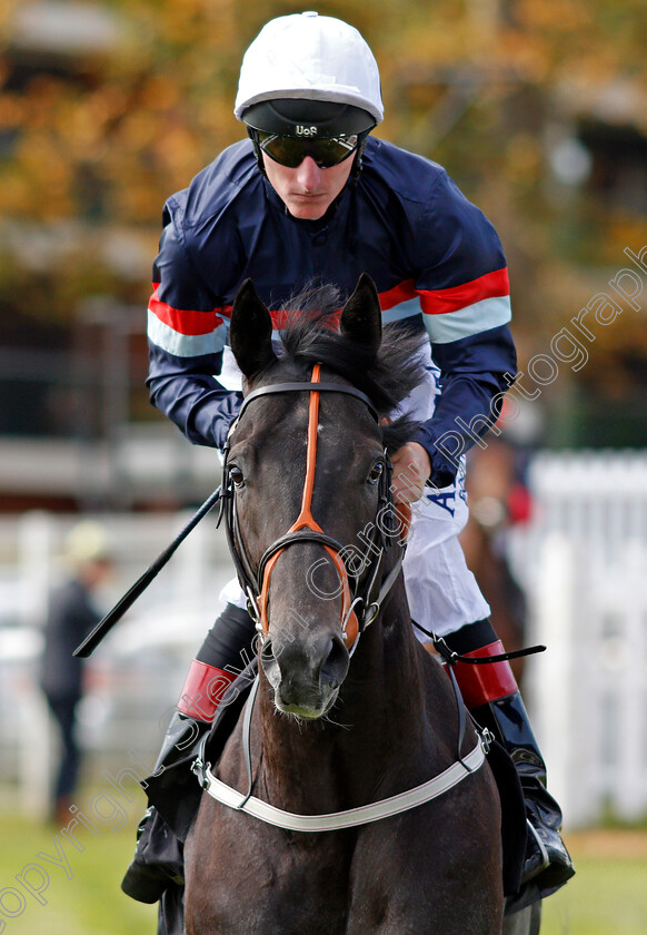 Cuban-Heel-0002 
 CUBAN HEEL (Adam Kirby) Newbury 23 Sep 2017 - Pic Steven Cargill / Racingfotos.com