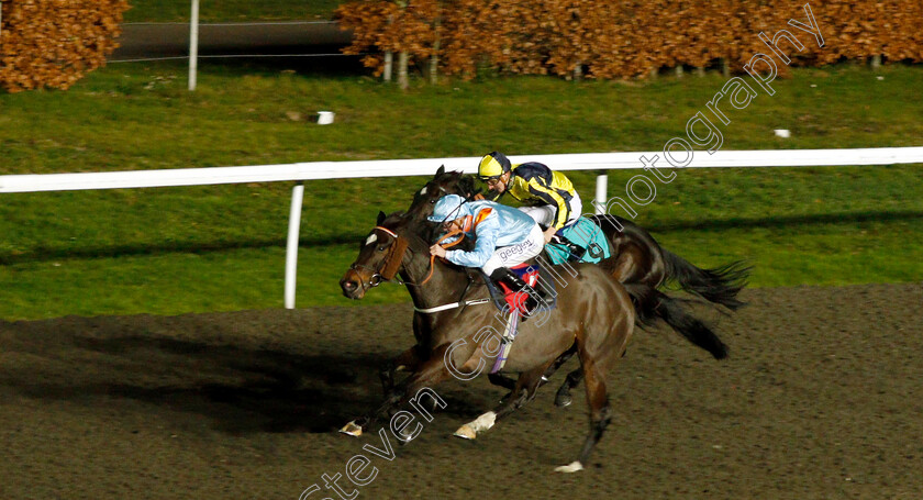 Lexington-Law-0001 
 LEXINGTON LAW (David Probert) wins The 32Red Handicap
Kempton 12 Dec 2018 - Pic Steven Cargill / Racingfotos.com