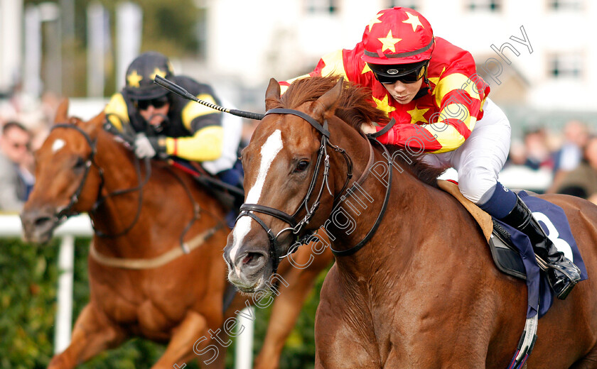 Athollblair-Boy-0002 
 ATHOLLBLAIR BOY (Izzy Clifton)
Doncaster 12 Sep 2019 - Pic Steven Cargill / Racingfotos.com