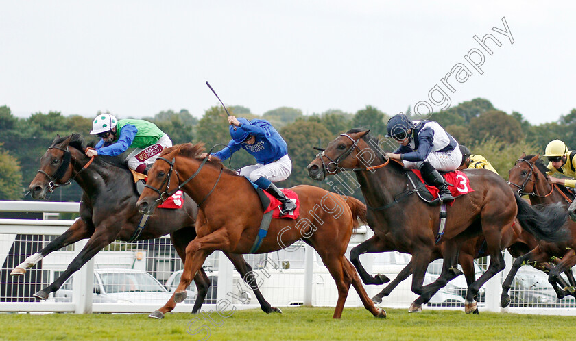 Imperial-Empire-0001 
 IMPERIAL EMPIRE (centre, William Buick) beats FORBIDDEN LAND (right) and SWINLEY FOREST (farside) in The Betway Nursery
Sandown 31 Aug 2019 - Pic Steven Cargill / Racingfotos.com