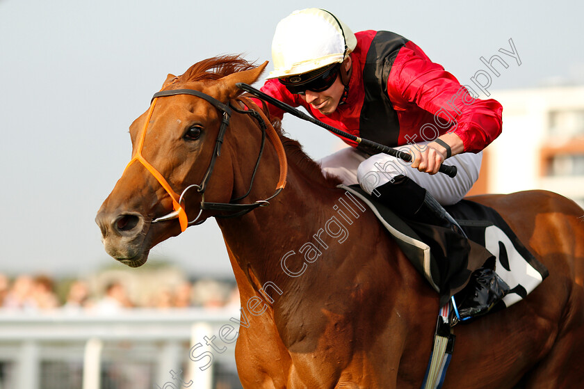 Star-Terms-0005 
 STAR TERMS (James Doyle) wins The South Downs Water British EBF Maiden Fillies Stakes
Newbury 26 Jul 2018 - Pic Steven Cargill / Racingfotos.com