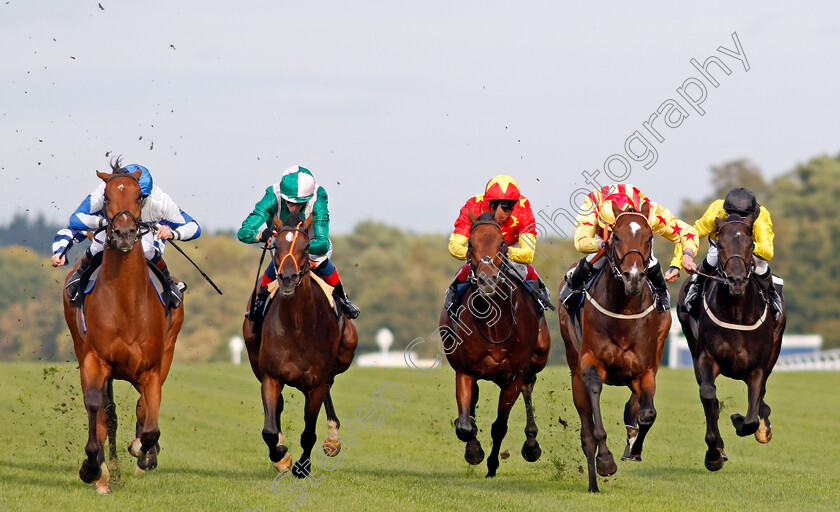 Francis-Xavier-0002 
 FRANCIS XAVIER (2nd right, Rossa Ryan) beats PROTECTED GUEST (left) in The Victoria Racing Club Handicap
Ascot 6 Sep 2019 - Pic Steven Cargill / Racingfotos.com