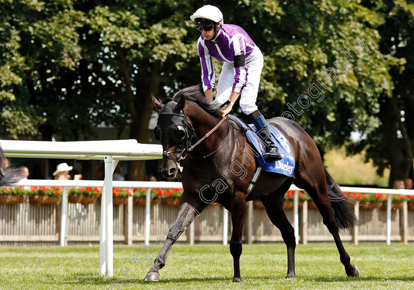 Spirit-Of-Valor-0001 
 SPIRIT OF VALOR (Donnacha O'Brien)
Newmarket 14 Jul 2018 - Pic Steven Cargill / Racingfotos.com