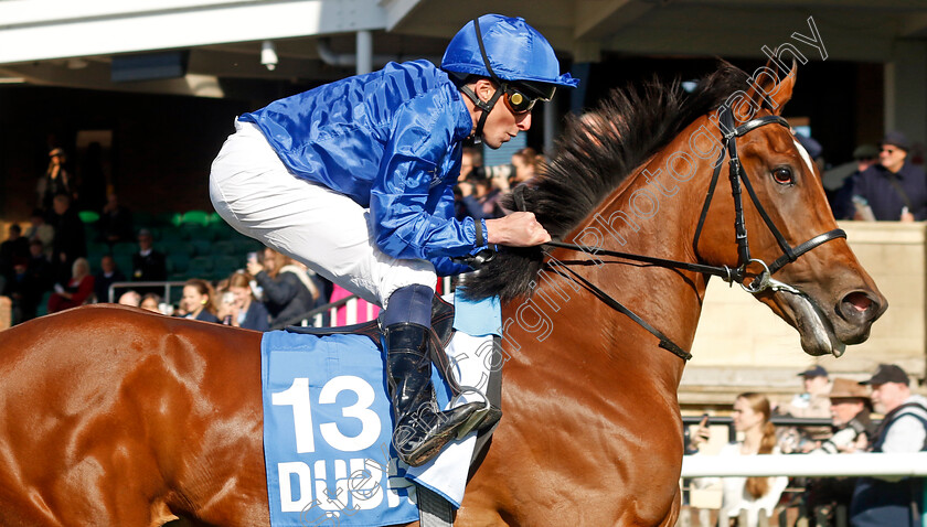 Verse-Of-Love-0001 
 VERSE OF LOVE (William Buick) wins The Godolphin Under Starters Orders Maiden Fillies Stakes
Newmarket 11 Oct 2024 - pic Steven Cargill / Racingfotos.com